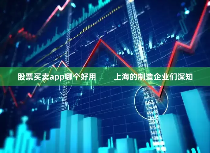 股票买卖app哪个好用        上海的制造企业们深知