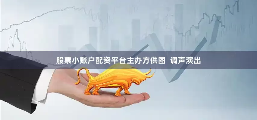 股票小账户配资平台主办方供图  调声演出
